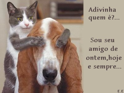 Animais