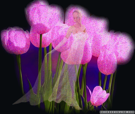 3319.gif?oh=cf6d0757abf98121d83a6c82d3e3