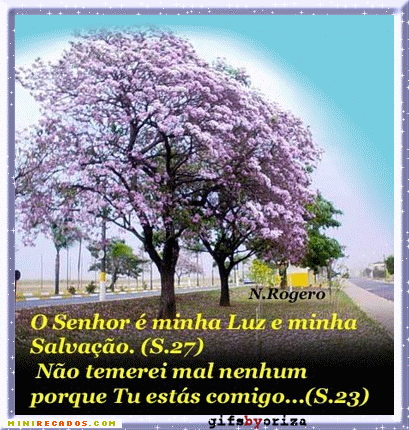 Cristãos