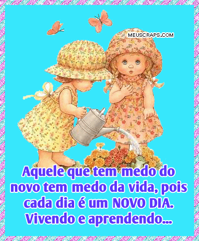 Conselhos
