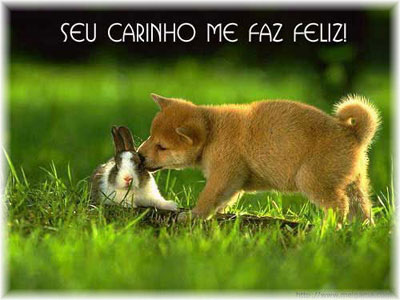 Caezinhos