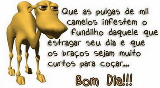 Bom Dia