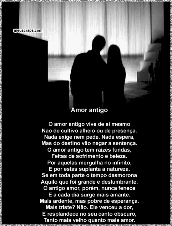 Te Amo