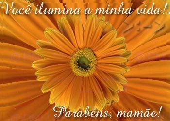 Dia Das Mães