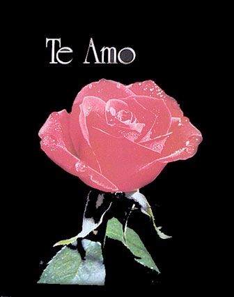 Te Amo