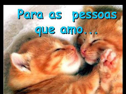 Gatinhos