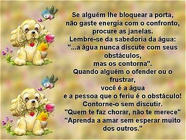 Conselhos