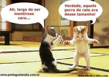 Animais