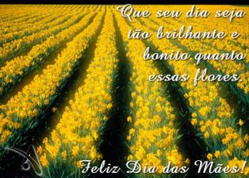 Dia Das Mães