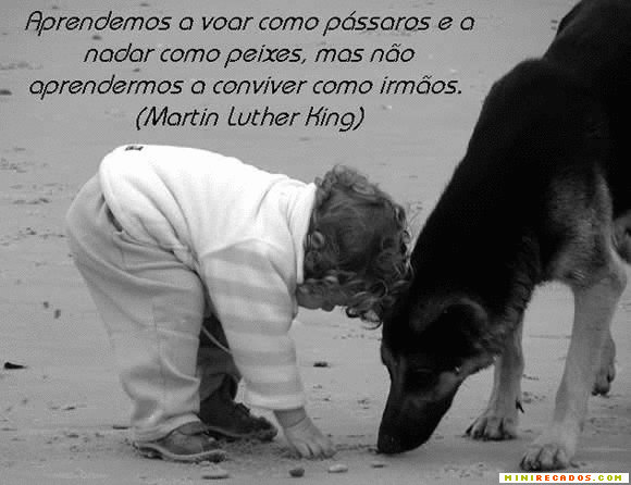 Frases