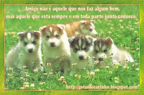 Caezinhos