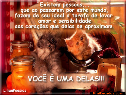 Animais