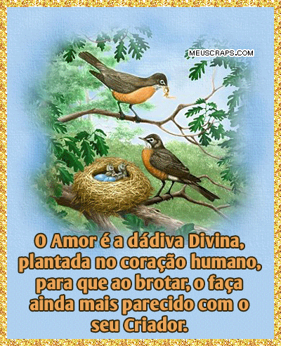 Conselhos