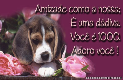 Amizade