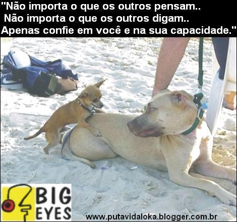 Caezinhos