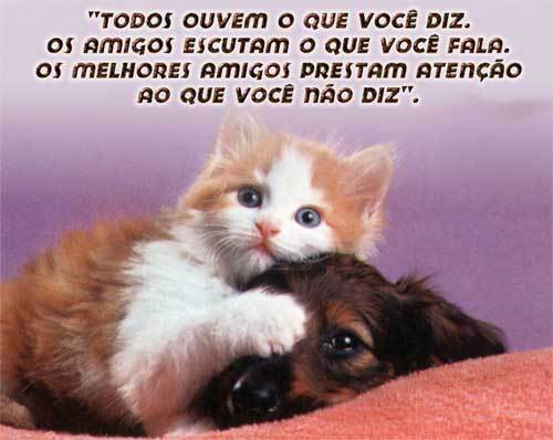 Animais