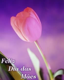 Dia Das Mães