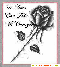 Te Amo