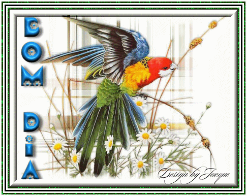 Bom Dia