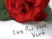 Uma Flor para Você